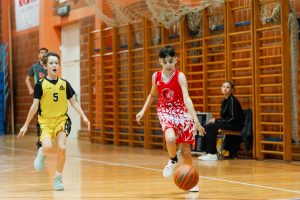 KK Jesenice vs Villach Hornets - Jan 31, 2026