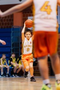 KK Radnik Križevci vs Villach Hornets - Jan 31, 2026