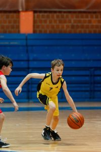 KK Jesenice vs Villach Hornets - Jan 31, 2026